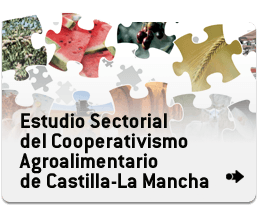 bannerEstudioSectorial