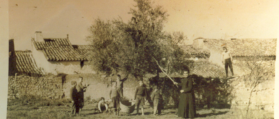 antigua aceituna