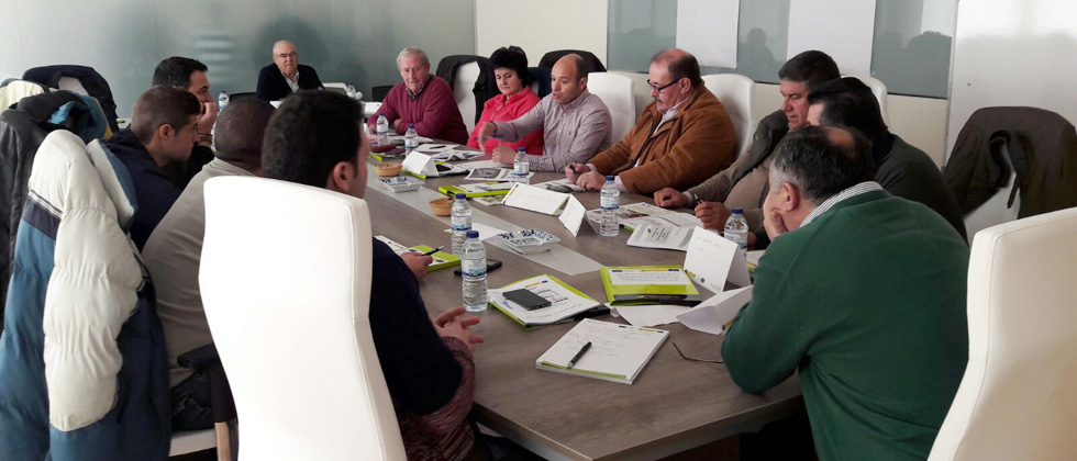 Taller de Trabajo