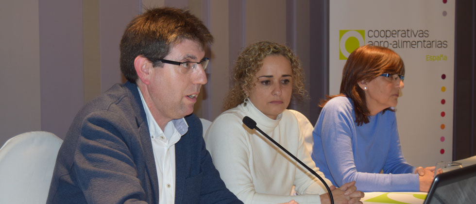 Mesa redonda