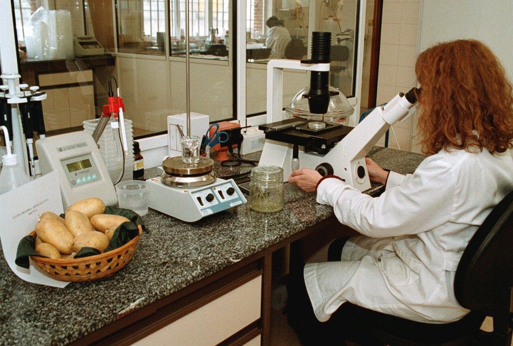 laboratorio investigacion