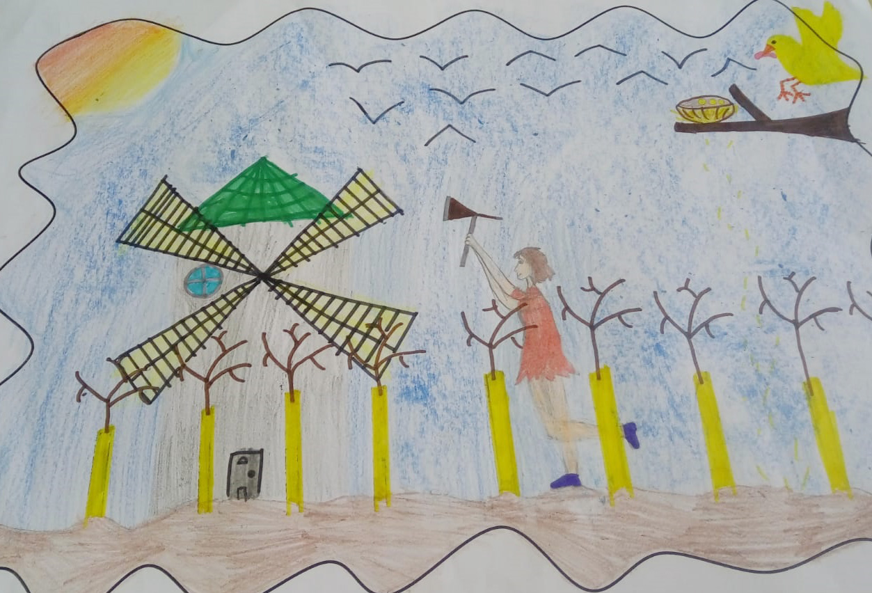 Primer Premio 4 5 6 Primaria