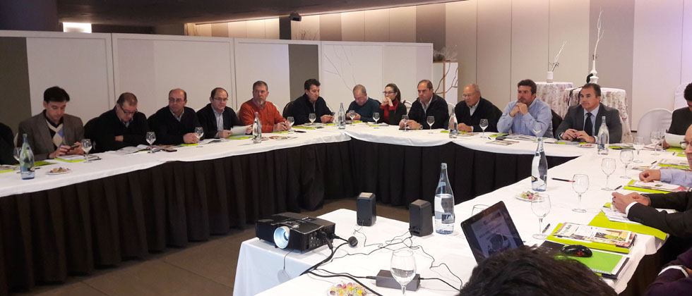 Formación Consejos Rectores