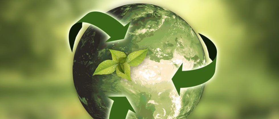 Medio Ambiente 1