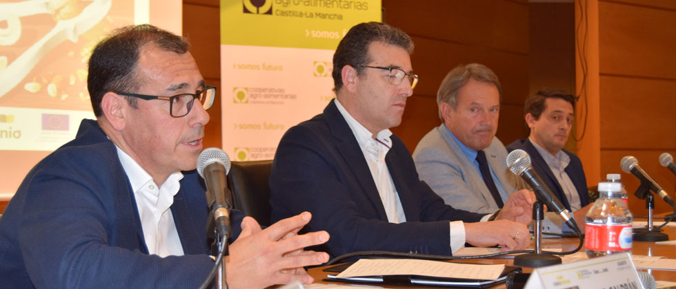 Mesa Redonda