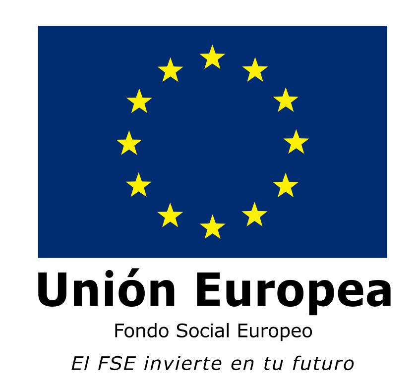 web logo europa