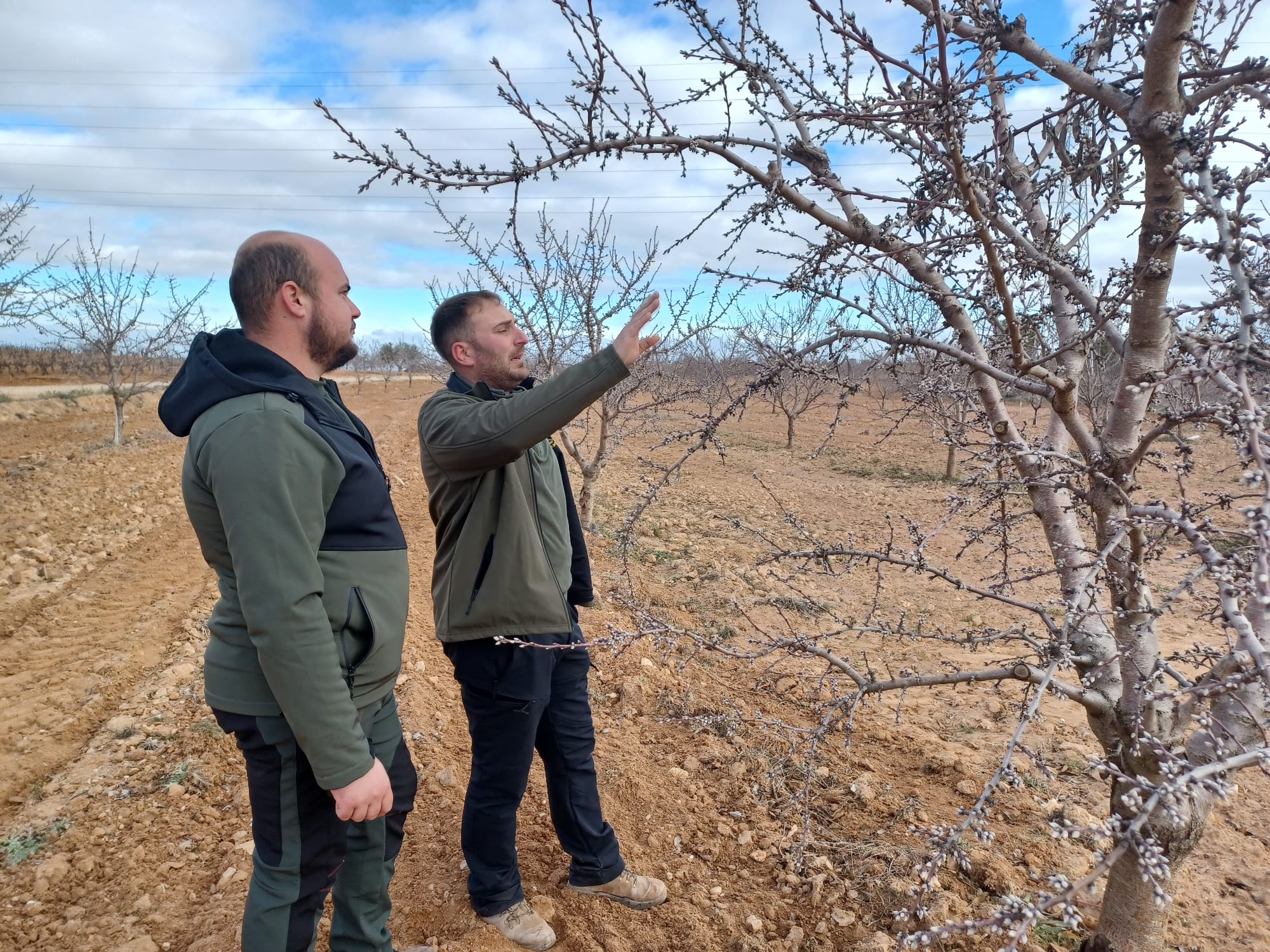 Valdepeñas y El Herrumblar, nuevos destinos del Erasmus agrario en Cooperativas Agro-alimentarias