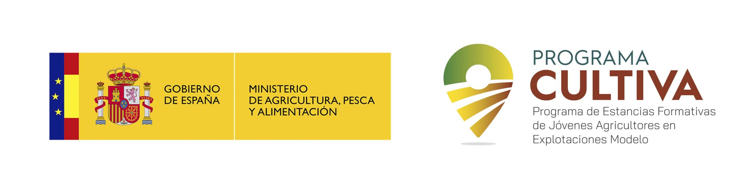 LOGOS web cultiva