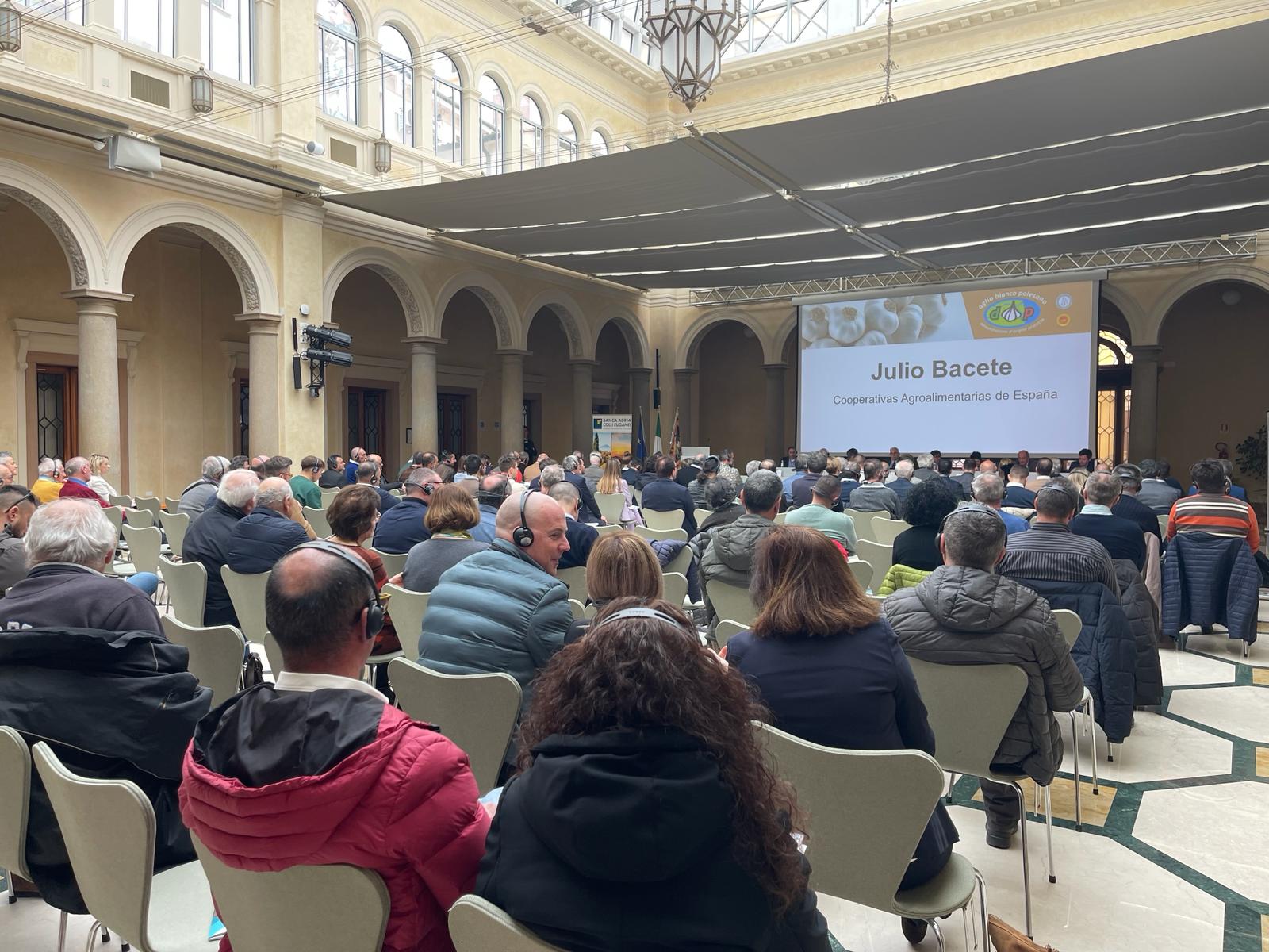Productores y representantes de ajo de Europa analizaron en Italia la próxima campaña y la situación de los mercados