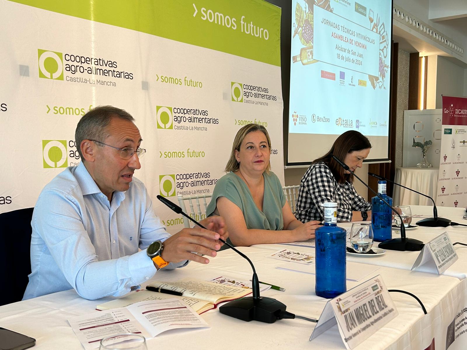 Cooperativas Agro-alimentarias Castilla-La Mancha estima una cosecha de alrededor de 23 millones de hl de vino y mosto en la región