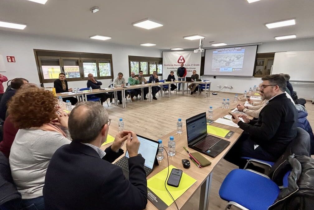 Cooperativas Agro-alimentarias Castilla-La Mancha destaca la recuperación del mercado de tintos y considera insuficientes las medidas de la CE para el sector vitivinícola