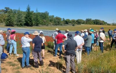 Cooperativas Agro-alimentarias Castilla-La Mancha presenta el Proyecto CARINA en las jornadas REDPAC sobre buenas prácticas del ecoregimen de rotación de cultivos con especies mejorantes
