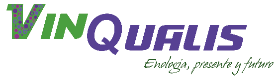 logo 01