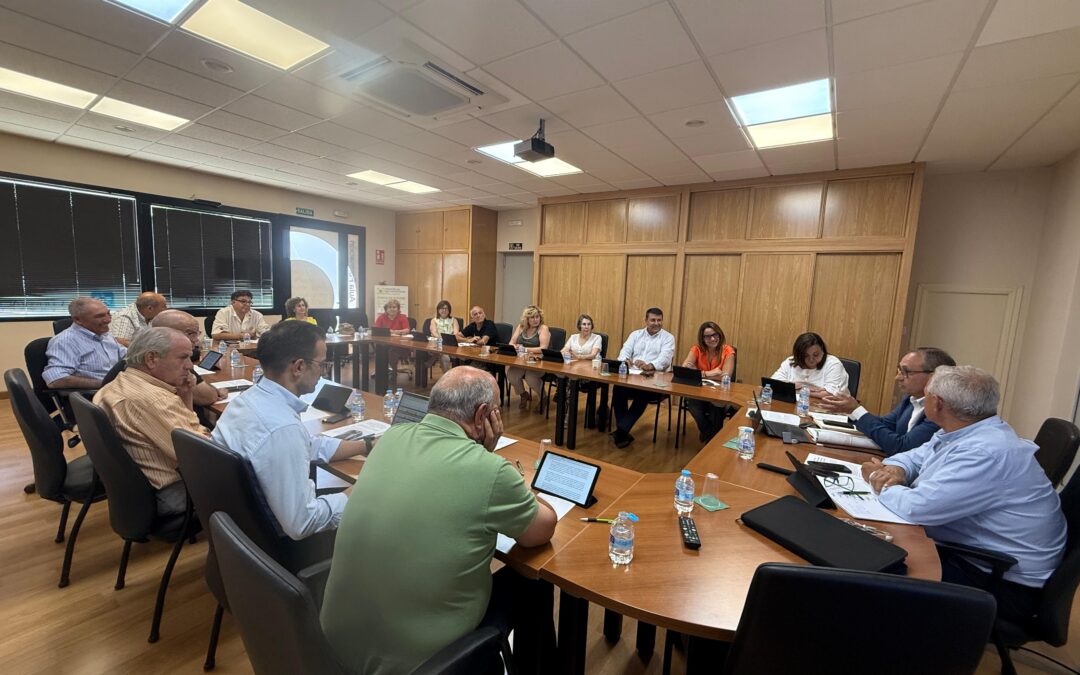 El Consejo Rector de Cooperativas Agro-alimentarias CLM rechaza la propuesta de la Comisión sobre la futura PAC 2028-2034