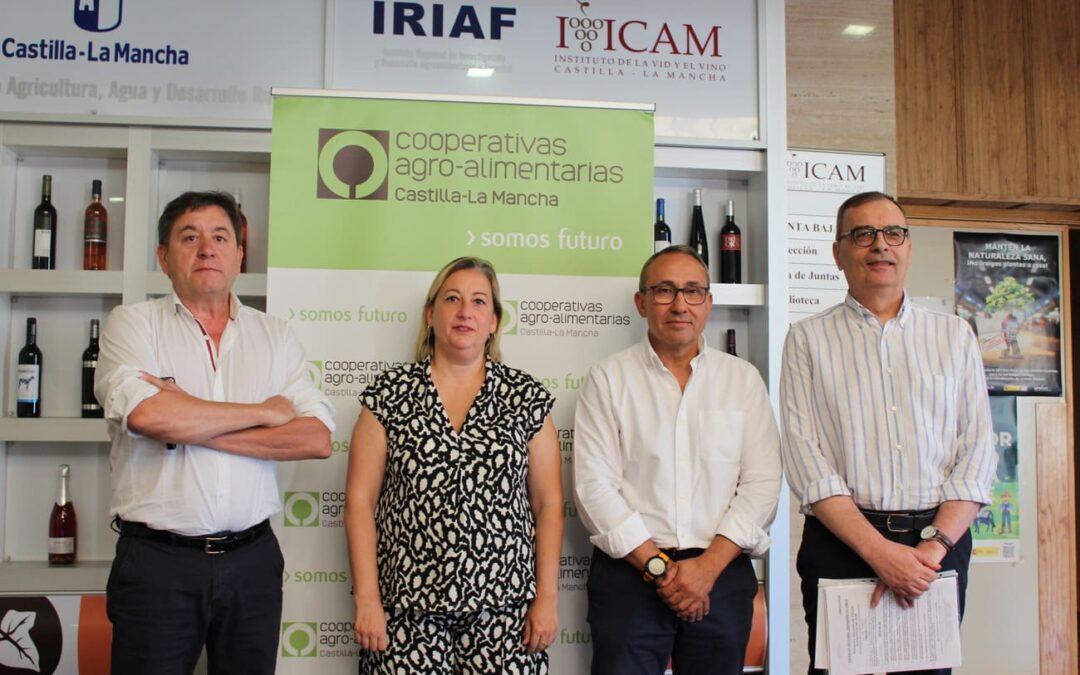 Cooperativas Agro-alimentarias estima una cosecha alrededor de 24 millones de hl de vino y mosto en Castilla-La Mancha.