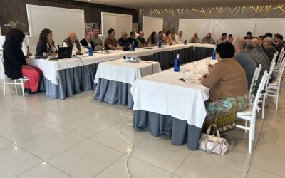 Cooperatias Agro-alimentarias Castilla-La Mancha prevé una cosecha de 120.000 toneladas de aceite de oliva en la región, un 17% menos que la campaña anterior debido a la sequia