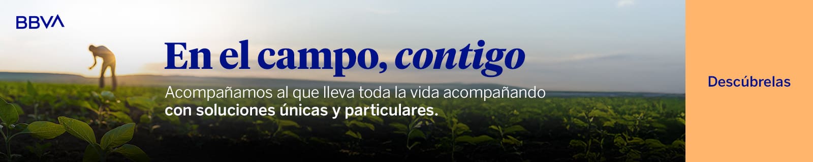 VdPymes_PosicionamientoAgro2025_Display_PosicionamientoAgro_1600x320 (1)