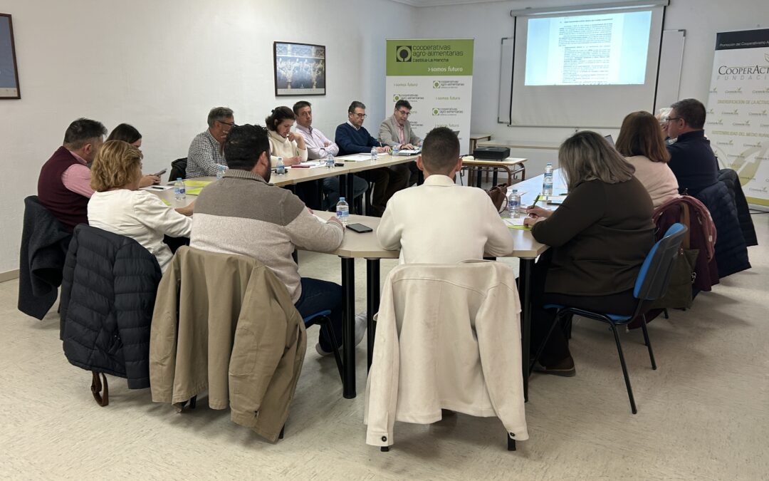 El estudio “Relevancia del subsector del ajo cooperativo en la economía de Castilla-La Mancha” confirma la importancia del modelo cooperativo para la sostenibilidad económica y social de las zonas rurales