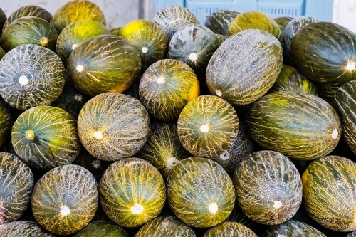 La Interprofesional del Melón y la Sandía de Castilla-La Mancha califica la campaña como desastrosa y considera necesaria la revitalización del sector