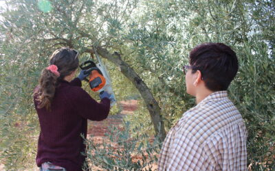 El “Programa CULTIVA” en Castilla-La Mancha arranca con la participación de siete jóvenes agricultores