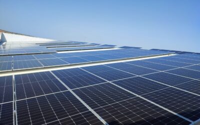 Cooperativas Agro-alimentarias Castilla-La Mancha impulsa con Iberdrola las comunidades solares como oportunidad de ahorro