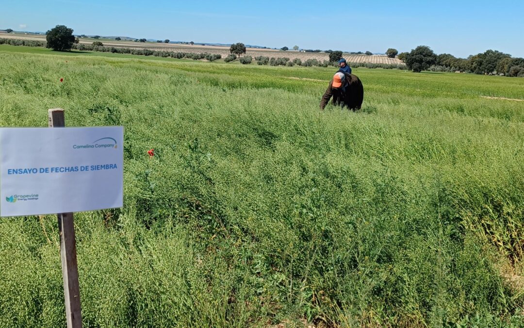 Cooperativas Agro-alimentarias Castilla-La Mancha colabora en la segunda jornada de puertas abiertas del proyecto CARINA