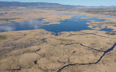 Artículo de opinión de Julio Bacete Gómez, portavoz de la Comisión del Agua de Cooperativas Agro-alimentarias Castilla-La Mancha.
