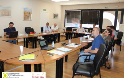 Cooperativas Agro-alimentarias Castilla-La Mancha celebra sus sectoriales de cultivos herbáceos en la provincia de Ciudad Real